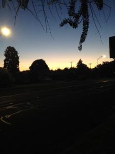 pruneridgenortheast_predawn