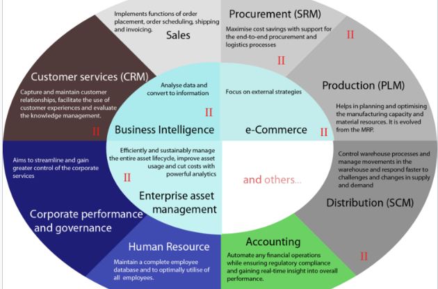 This image has an empty alt attribute; its file name is erp_vin.jpg